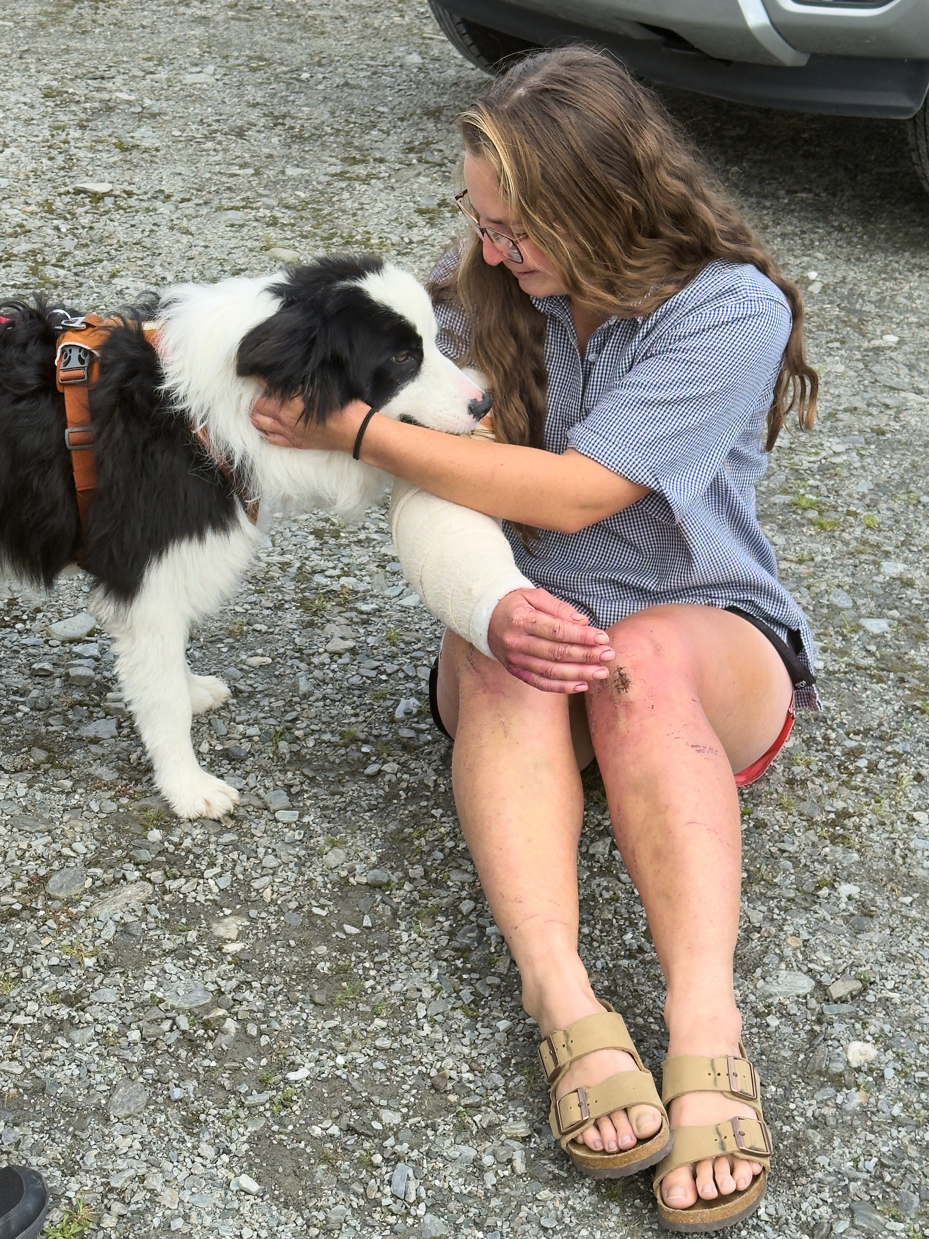 NUEVA ZELANDA-PERRO RESCATADO