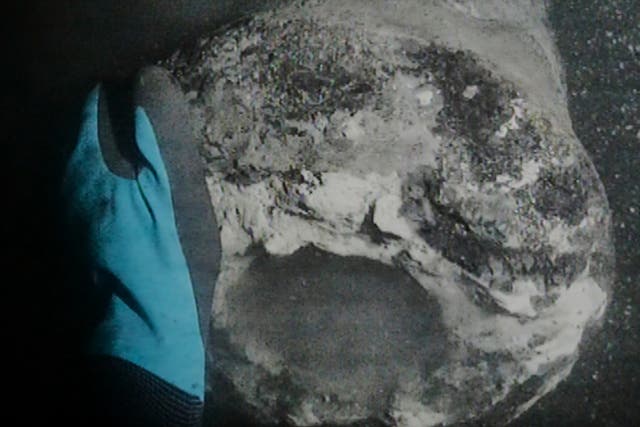 EUR-GEN DINAMARCA-NELSON-BARCO