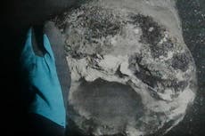 Descubren tras 225 años un buque de guerra danés hundido por la flota británica de Nelson