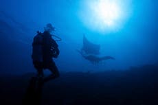 Ecosistema en Indonesia amenazado por industria de la minería