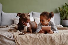 La mitad de los dueños de mascotas le hace preguntas insólitas a la IA
