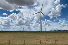 La energía solar y eólica están evitando lo peor de la guerra con Irán