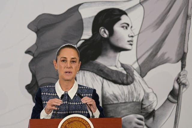 <p>La líder progresista mexicana ha actuado de forma cuidadosa con Trump durante más de un año</p>
