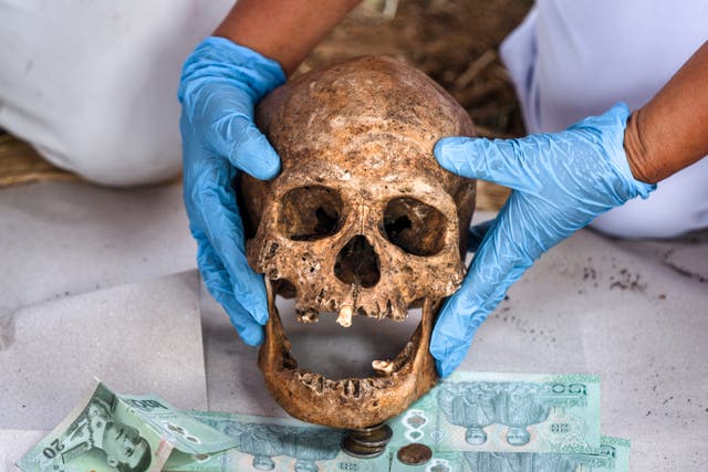 <p>Todos estos hallazgos recientes permiten considerar cinco grupos de fósiles de este periodo en Asia</p>