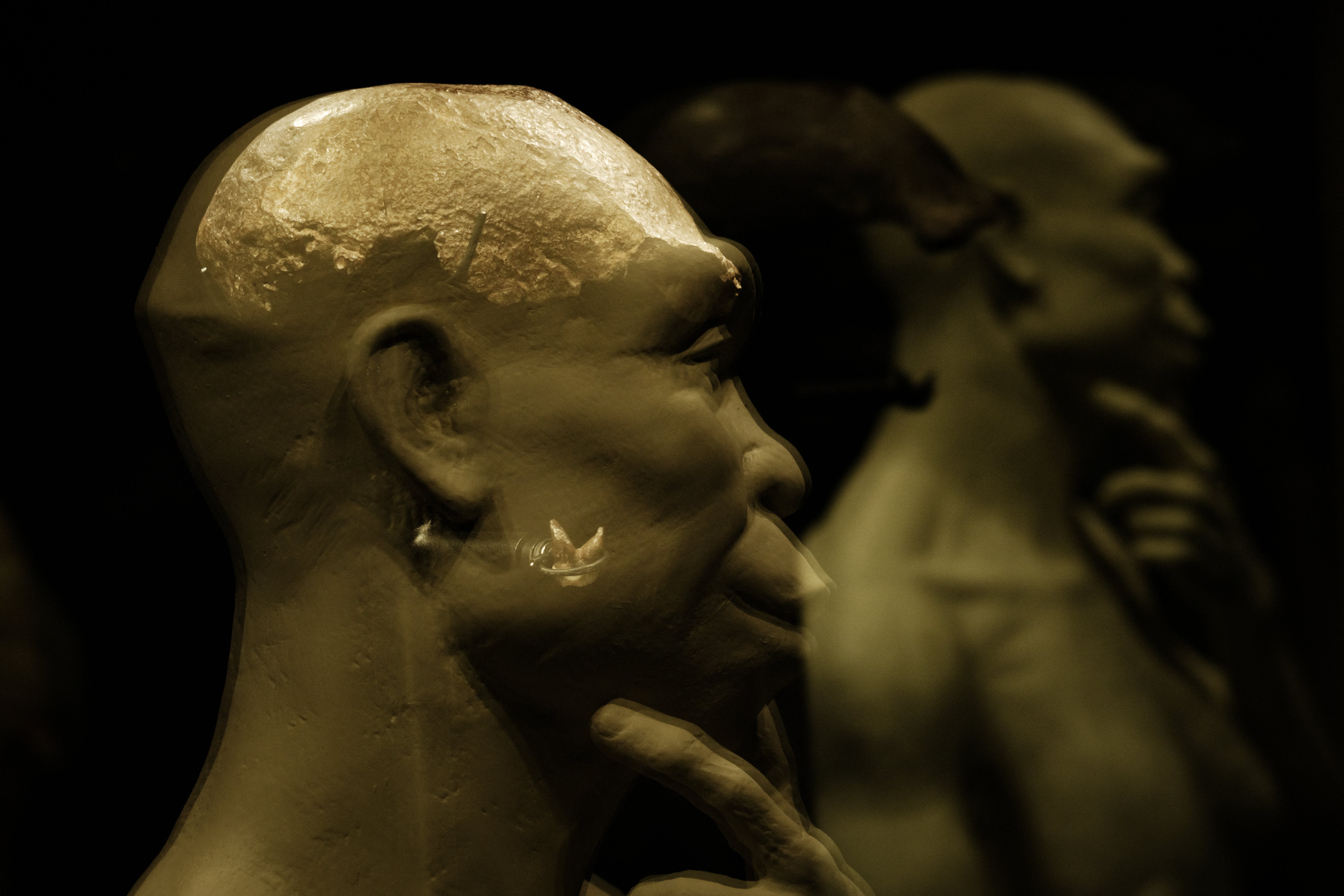 El cráneo virtual resultante de los estudios realizados revela una mezcla de rasgos considerados primitivos o ancestrales y derivados o novedosos.