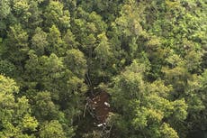 Accidente de helicóptero en la isla indonesia de Borneo deja 8 muertos