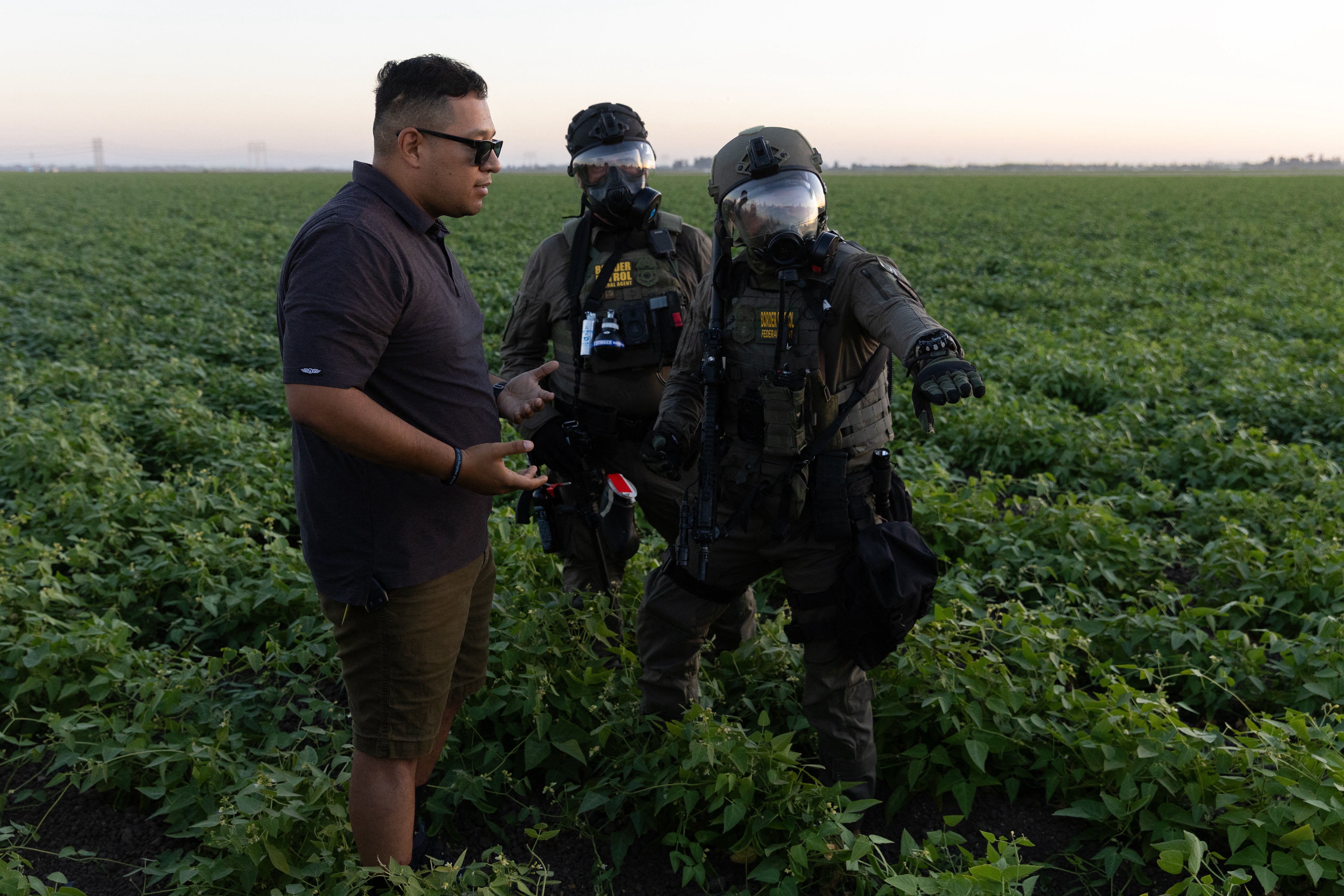 El Gobierno de Trump facilitó la contratación de trabajadores extranjeros en el sector agrícola en medio de la escasez de mano de obra, aunque dio marcha atrás a una breve sugerencia del año pasado de evitar redadas en granjas