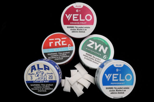 <p>Paquetes de bolsitas de nicotina. Influencers del movimiento MAHA promueven cada vez más los supuestos “beneficios para la salud” de estos productos  </p>