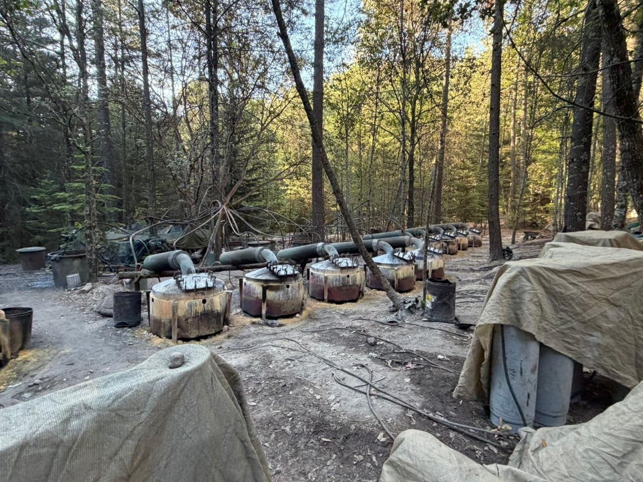 En el mismo accidente también fallecieron dos investigadores mexicanos