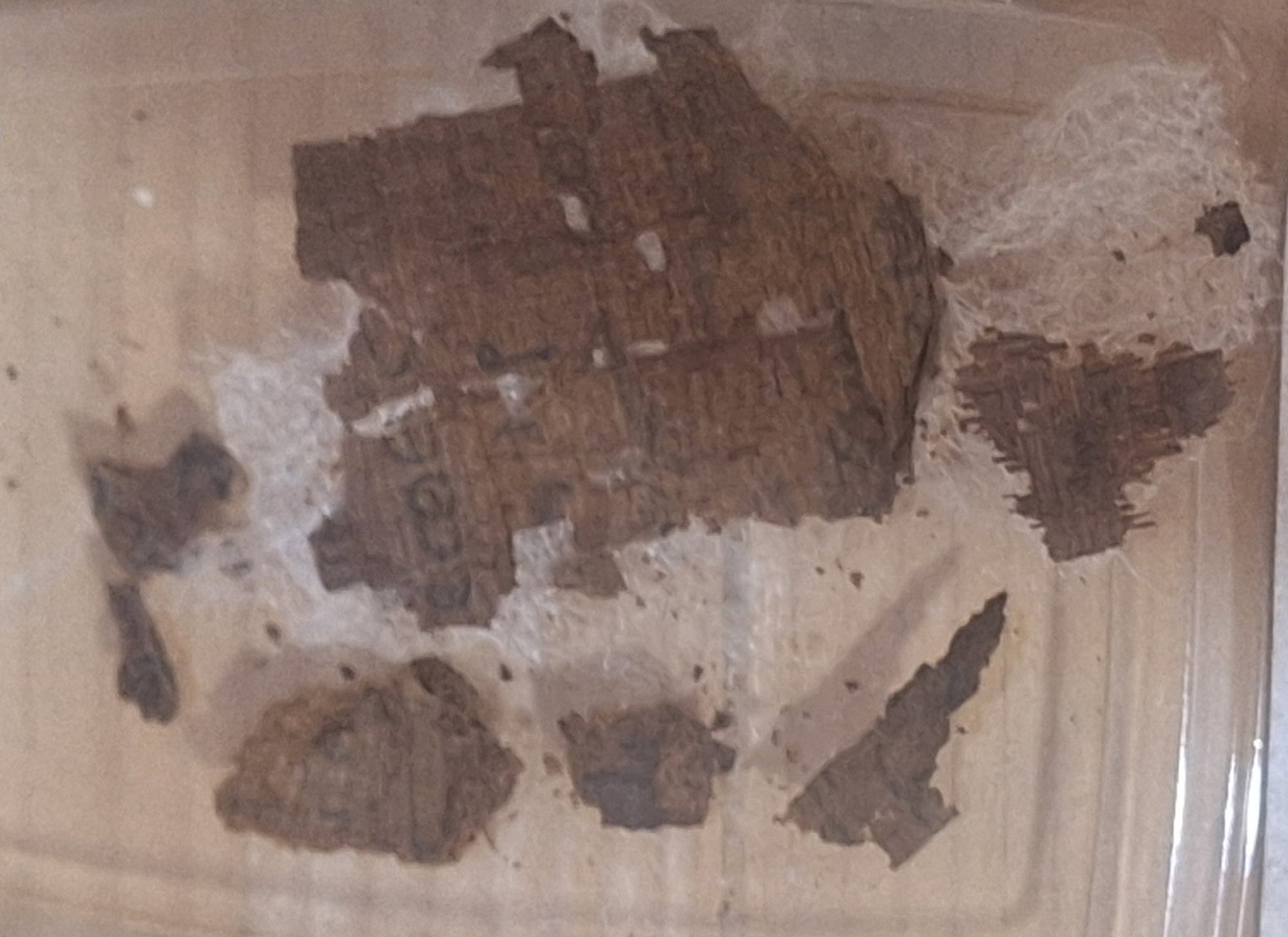 Papiro con la ‘Ilíada’ de Homero hallado en el interior de una momia de la época romana