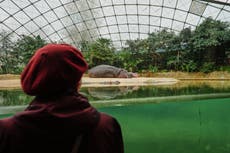 Una visita especial en el Zoológico de Berlín lleva alegría a personas con demencia