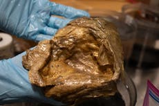 Científicos identifican misterioso “orbe dorado” hallado en el fondo del océano