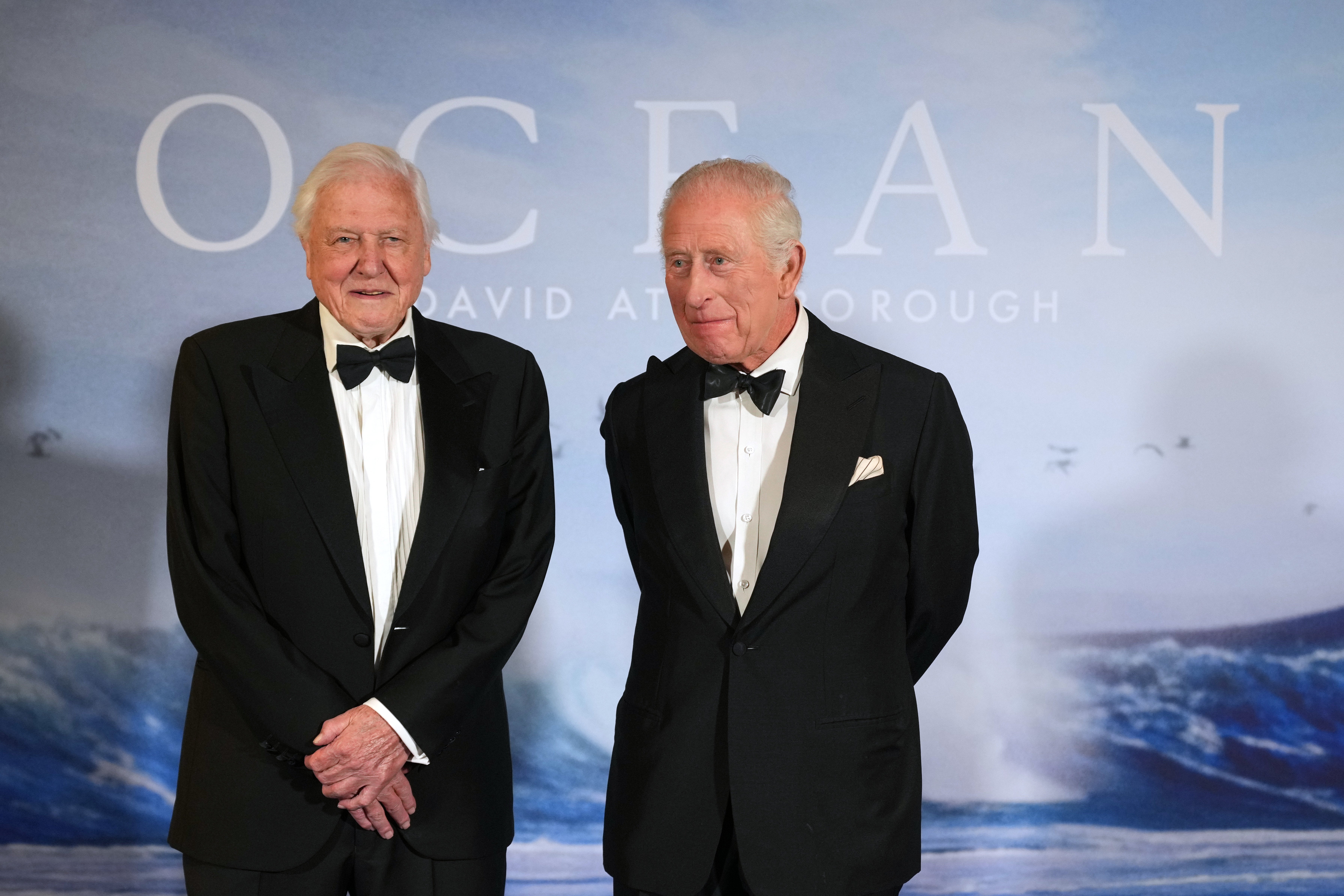 El rey Carlos III (a la derecha) se encuentra con David Attenborough durante el estreno de ‘Ocean with David Attenborough’ en el Southbank Centre, en el Royal Festival Hall de Londres