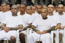 El Salvador: continúa juicio a cientos de pandilleros de la Mara Salvatrucha por presuntos crímenes