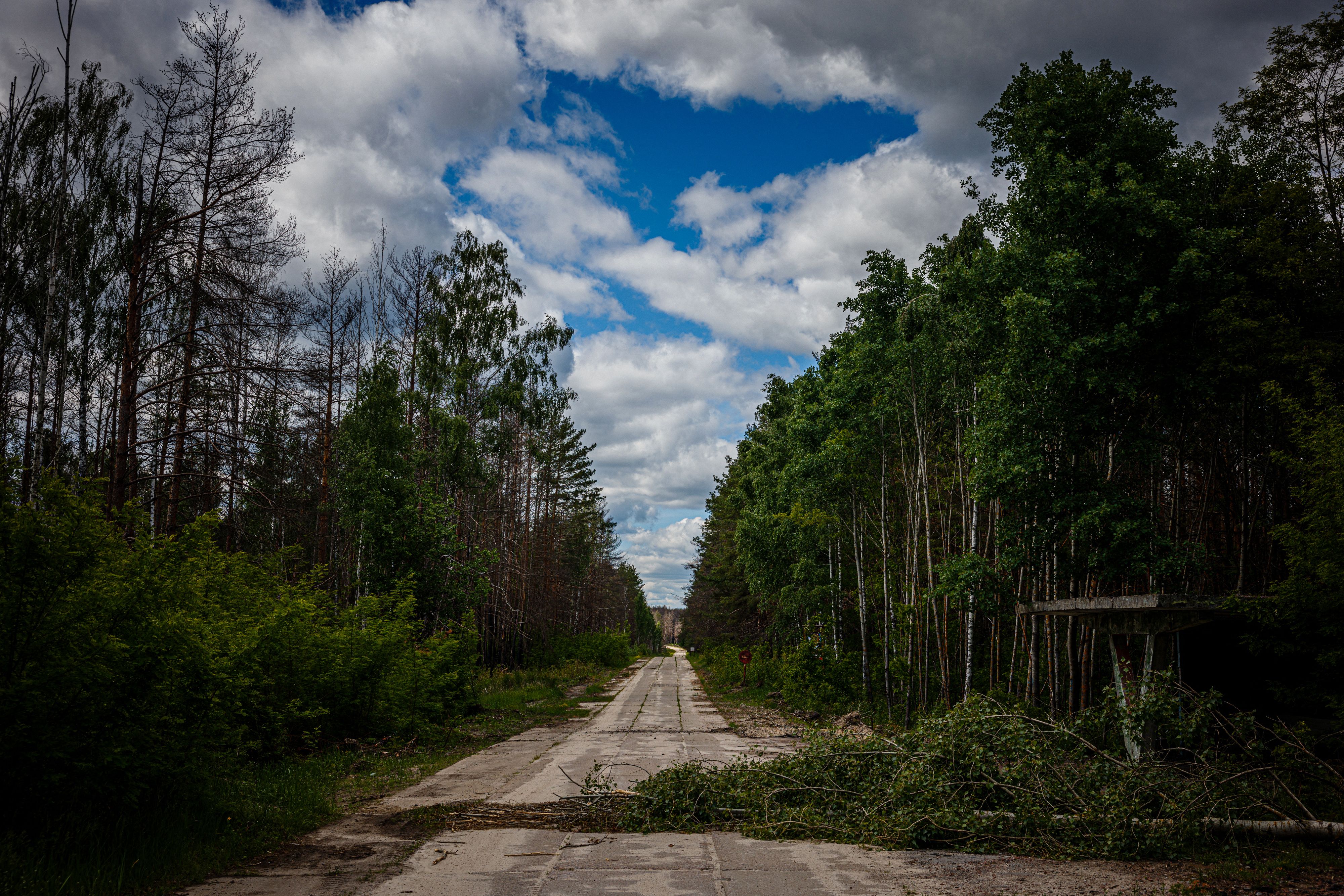 Una fotografía muestra una carretera en un bosque dentro de la zona de exclusión de Chernóbil el 29 de mayo de 2022, en medio de la invasión rusa de Ucrania