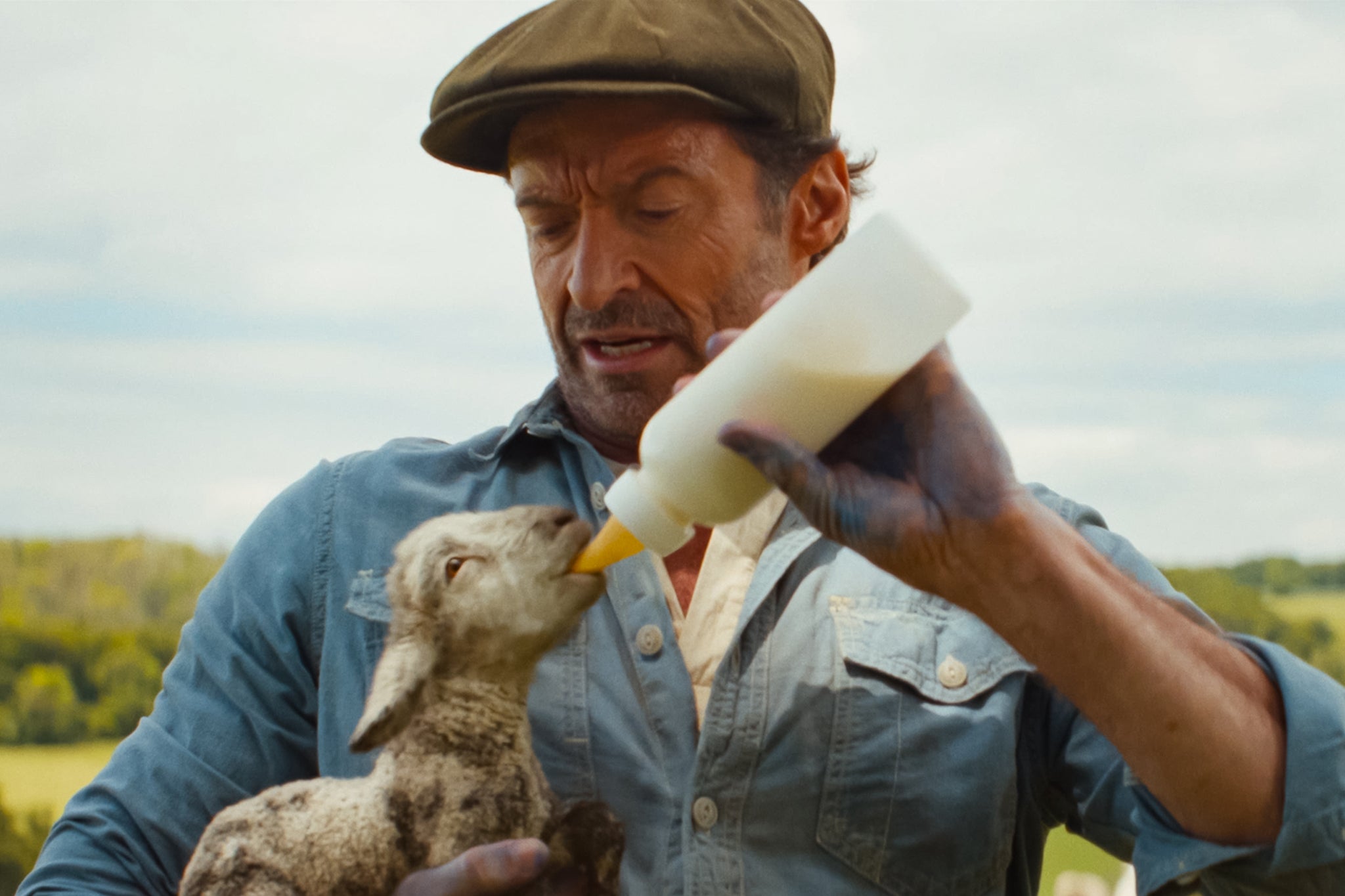 Hugh Jackman (y un cordero que habla) en ‘Las ovejas detectives’