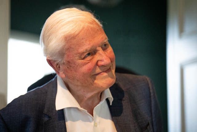 <p>Se retransmitirá por televisión un evento en directo para celebrar el centenario de David Attenborough</p>