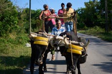 Bloqueo energético de EEUU deja a agricultores cubanos luchando por alimentar al país