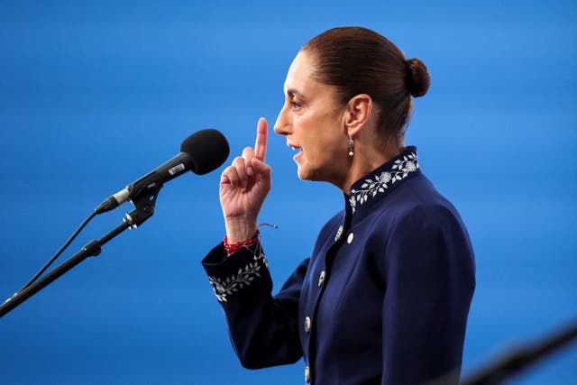 <p>La presidenta descartó que la salida del fiscal implique el cierre del caso </p>