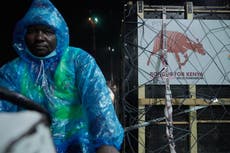 Antílopes en peligro crítico de extinción regresan a Kenia desde un zoológico checo