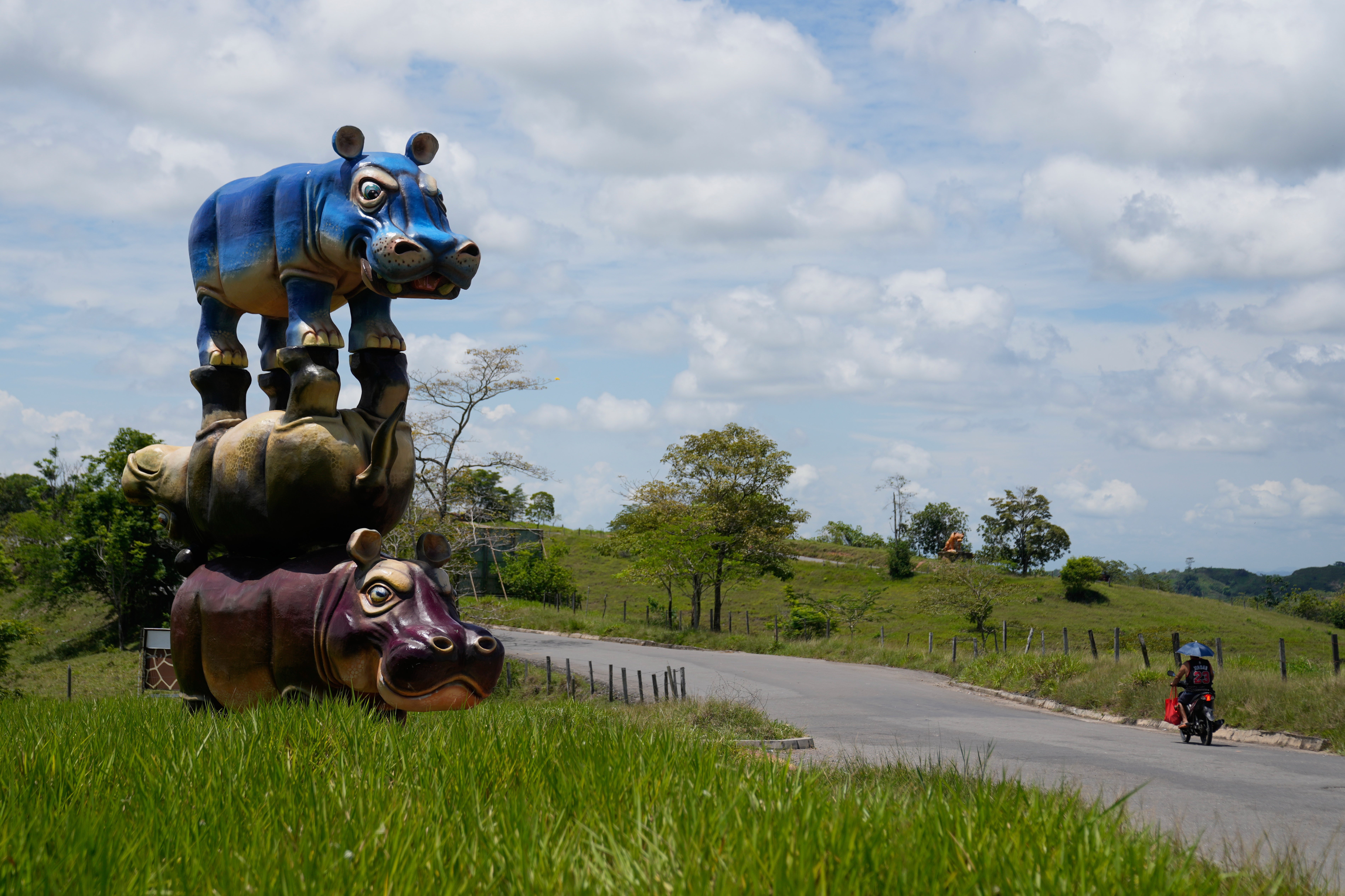 COLOMBIA-HIPOPÓTAMOS
