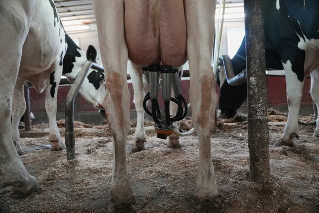 EEUU-LECHE NO PASTEURIZADA-LEGISLACIÓN