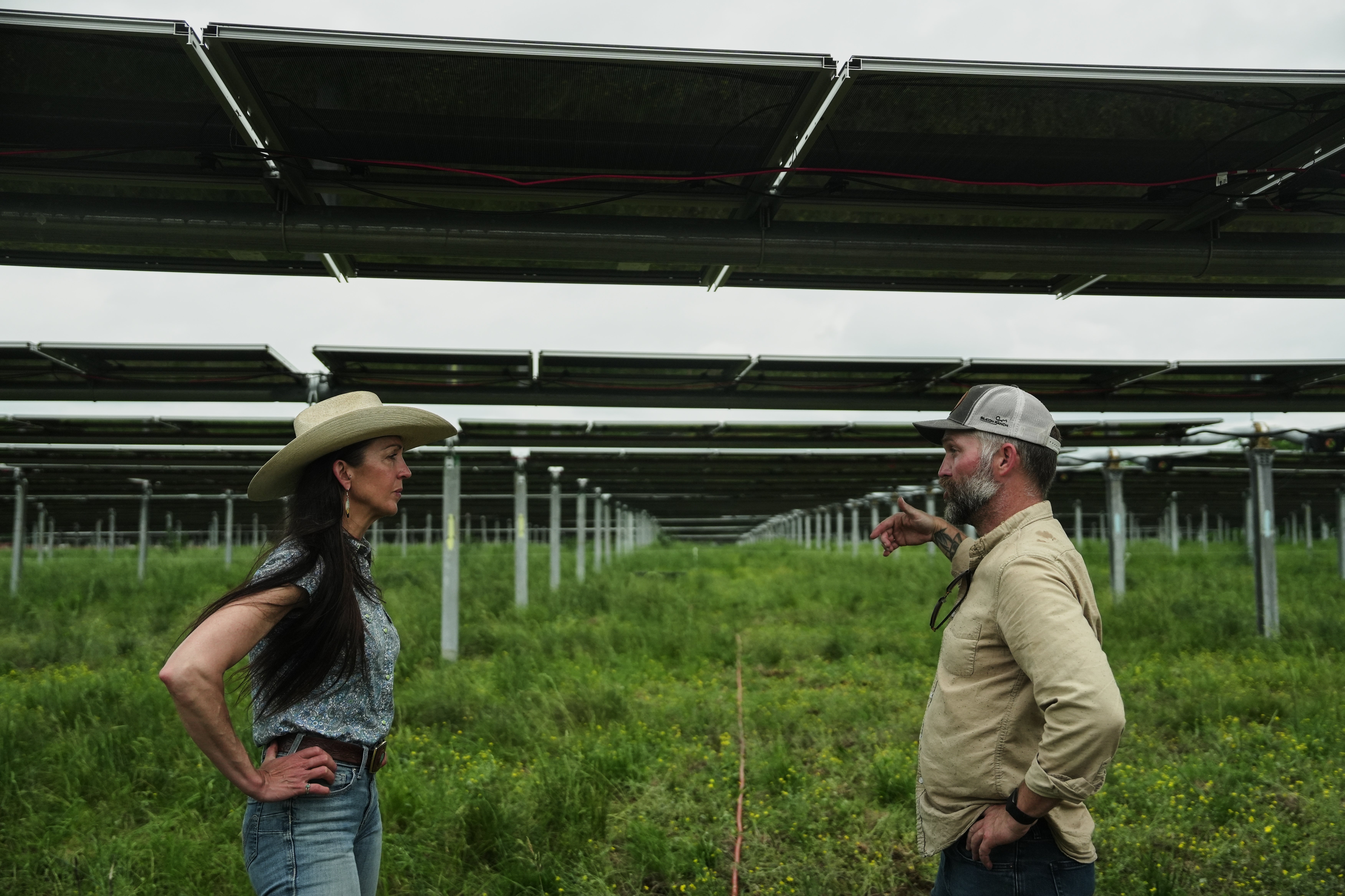 EEUU-ENERGÍA SOLAR-GANADO