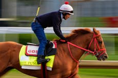 El Derby de Kentucky queda en 19 caballos tras el retiro de The Puma