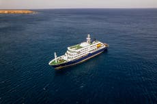 Estos son los países afectados por el brote de hantavirus en el crucero MV Hondius