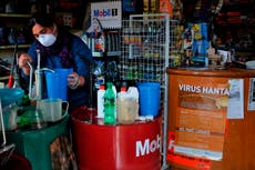 Qué saber sobre el hantavirus, la posible causa de un brote en un crucero