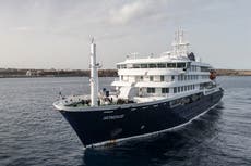 Hantavirus: ¿qué tan comunes son los brotes en cruceros?