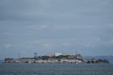 Un coyote nadó más de tres km hasta la isla de Alcatraz, el doble de lo esperado por los biólogos