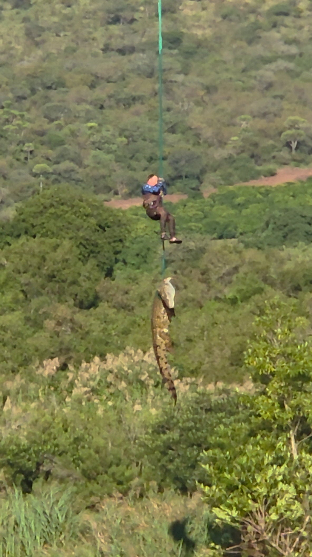 Un policía sudafricano es trasladado por aire mientras retira a un cocodrilo sacrificado