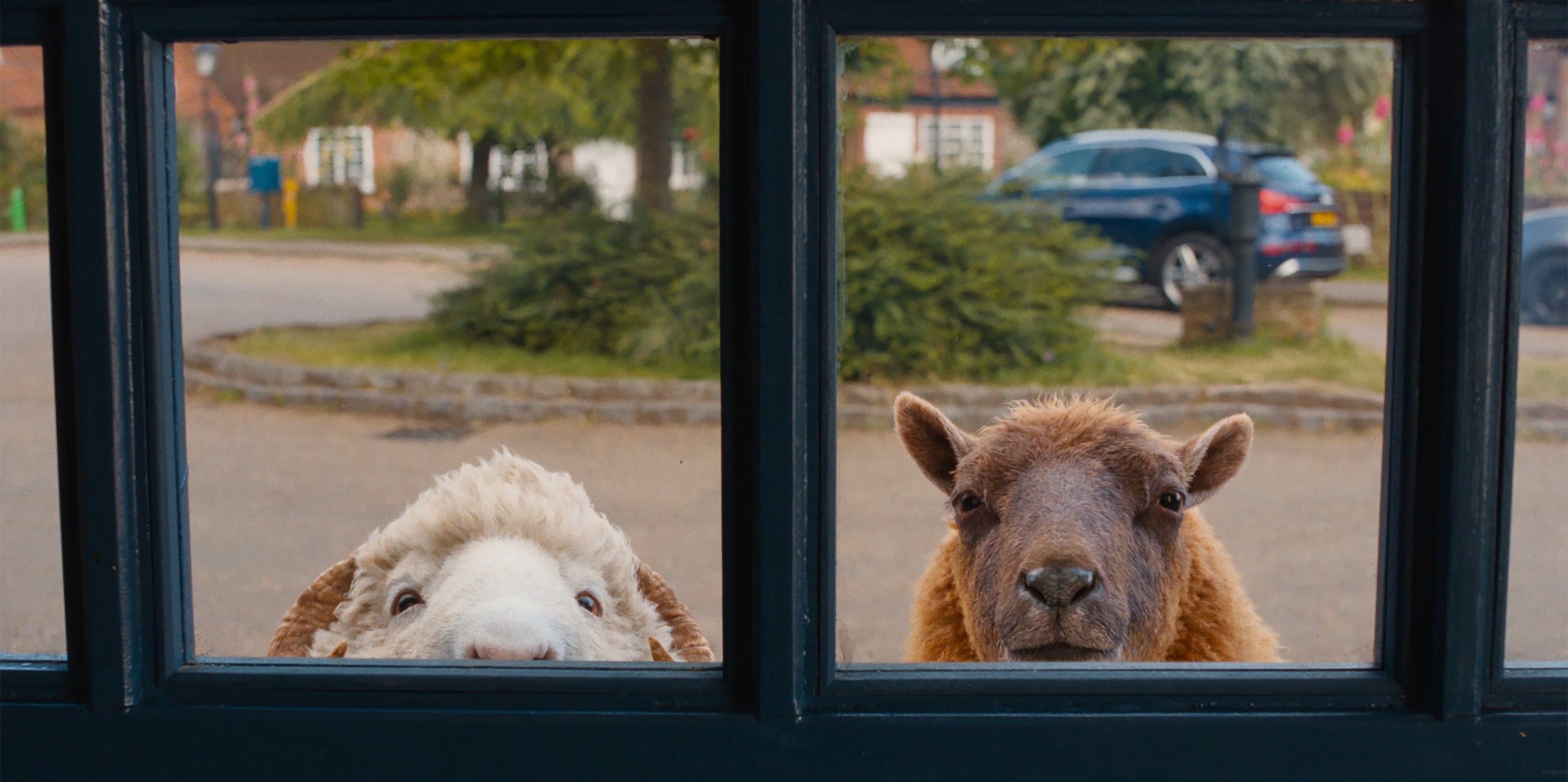 THE SHEEP DETECTIVES