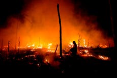 La degradación forestal acecha en la Amazonía brasileña pese a avances contra la deforestación