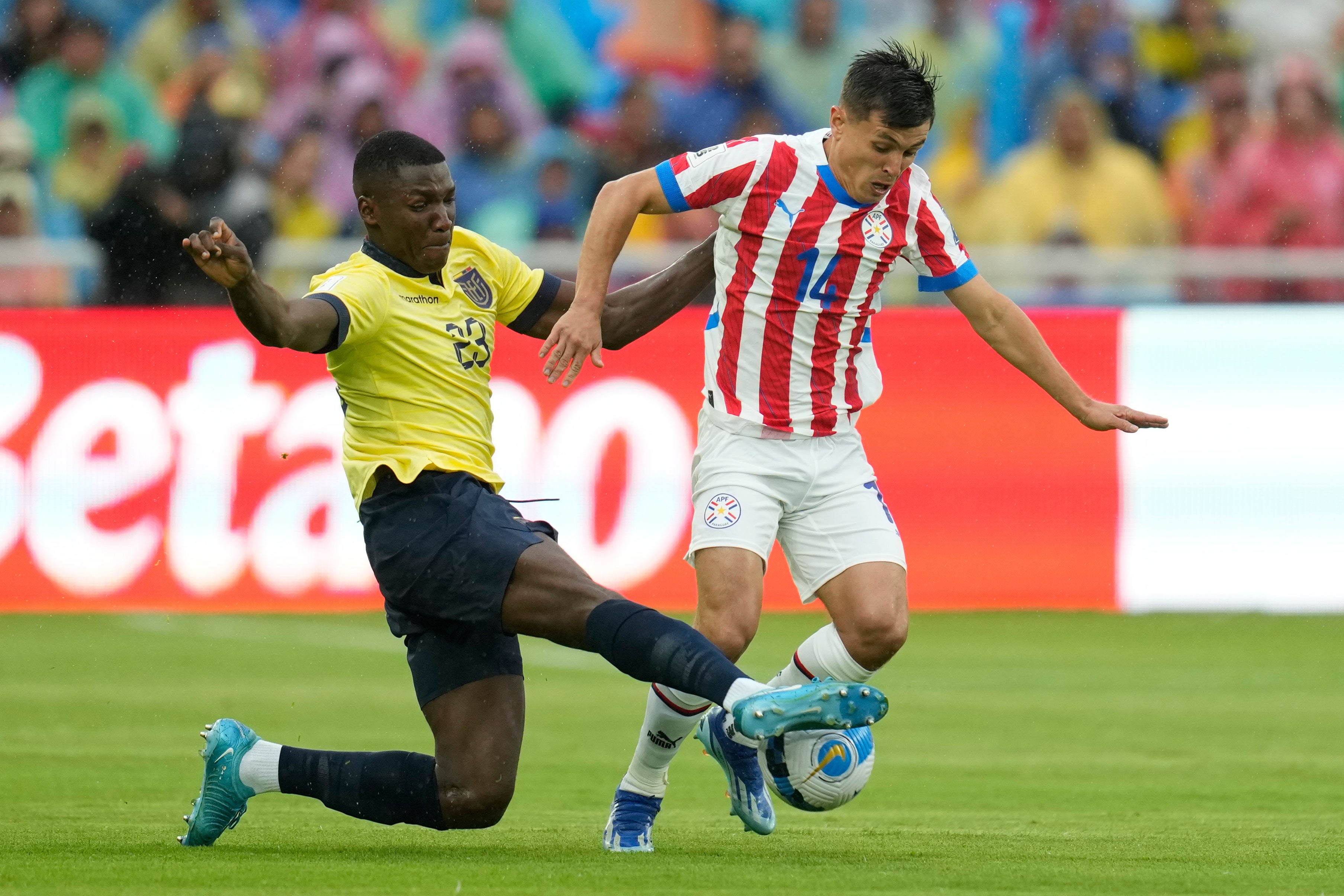 MOISÉS CAICEDO
