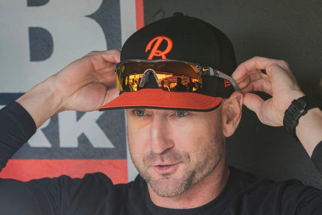 ORIOLES GUARDIANES