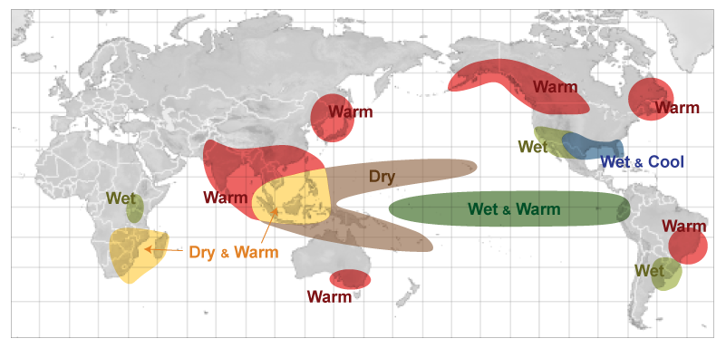 Mapa que muestra los efectos típicos de El Niño entre diciembre y febrero: Wet (húmedo), Warm (cálido), Dry (seco), Dry & Warm (seco y cálido), Wet & Warm (húmedo y cálido), Wet & Cool (húmedo y fresco)