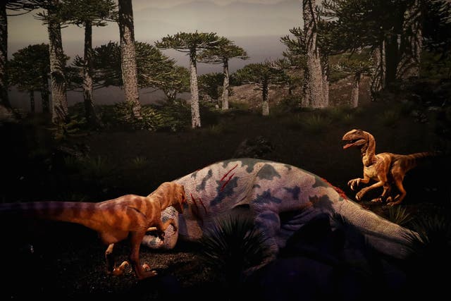 <p>Una exposición del ‘Maiasaura’ y del ‘Dromaeosaurus albertensis’, un terópodo, ambos dinosaurios que vivieron durante el Cretácico superior</p>