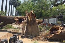 Tormentas de polvo y rayos causan al menos 96 muertos en el norte de India