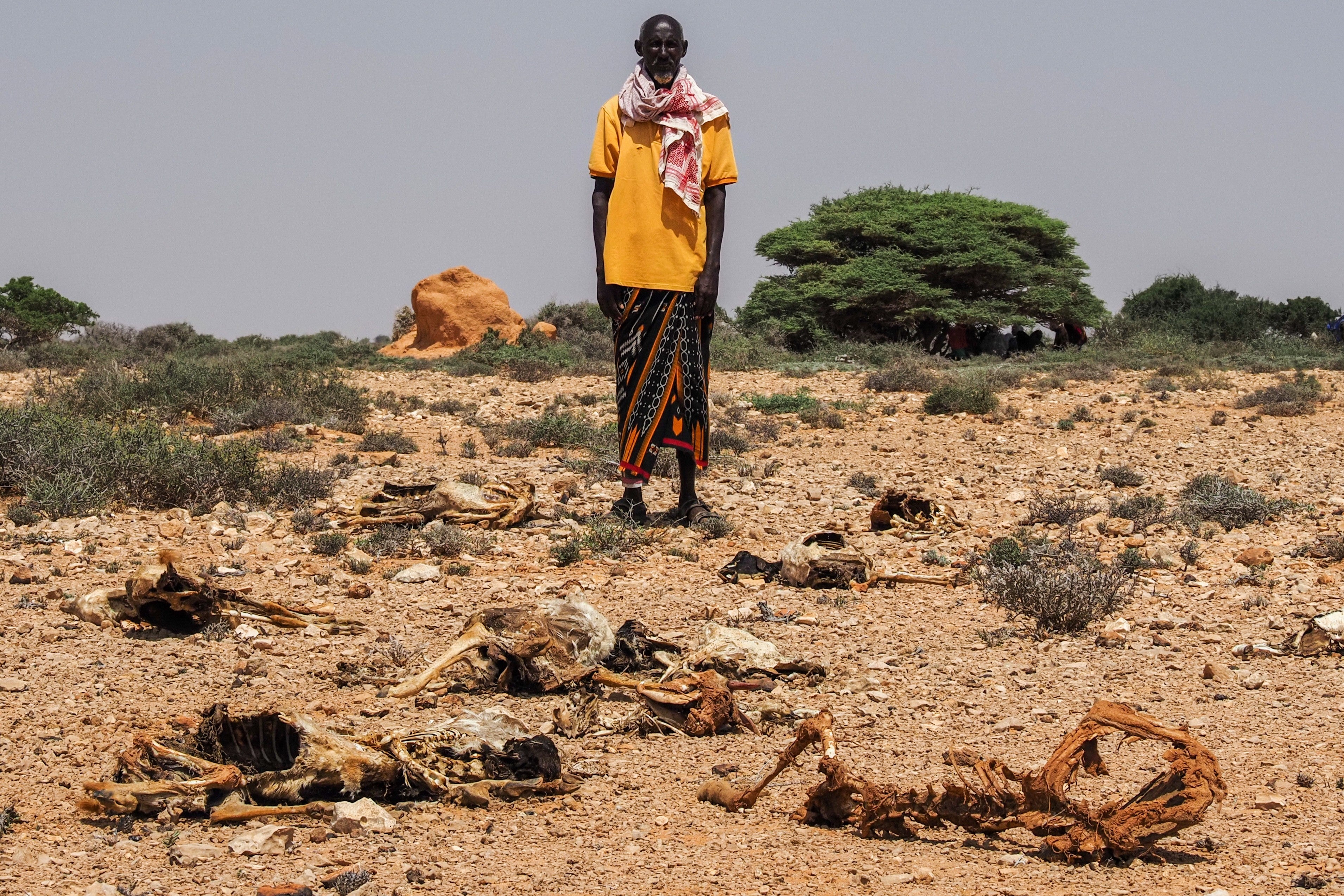 SOMALIA-SEQUÍA