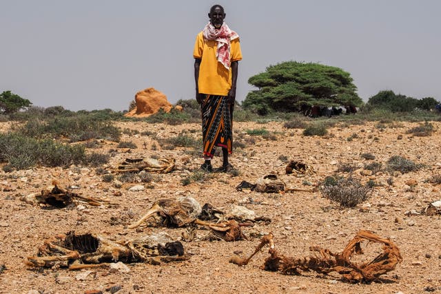 SOMALIA-SEQUÍA