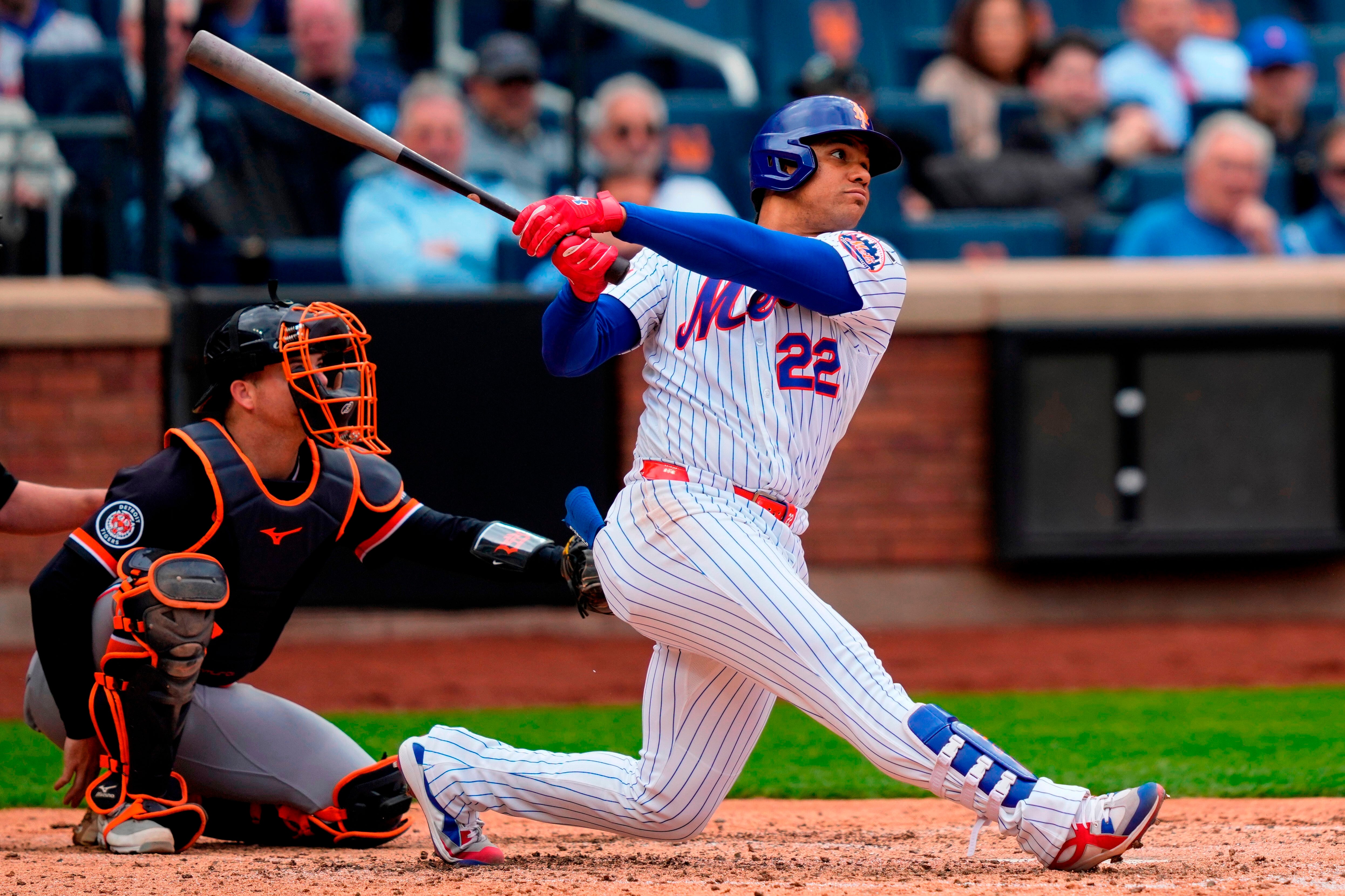 TIGRES METS