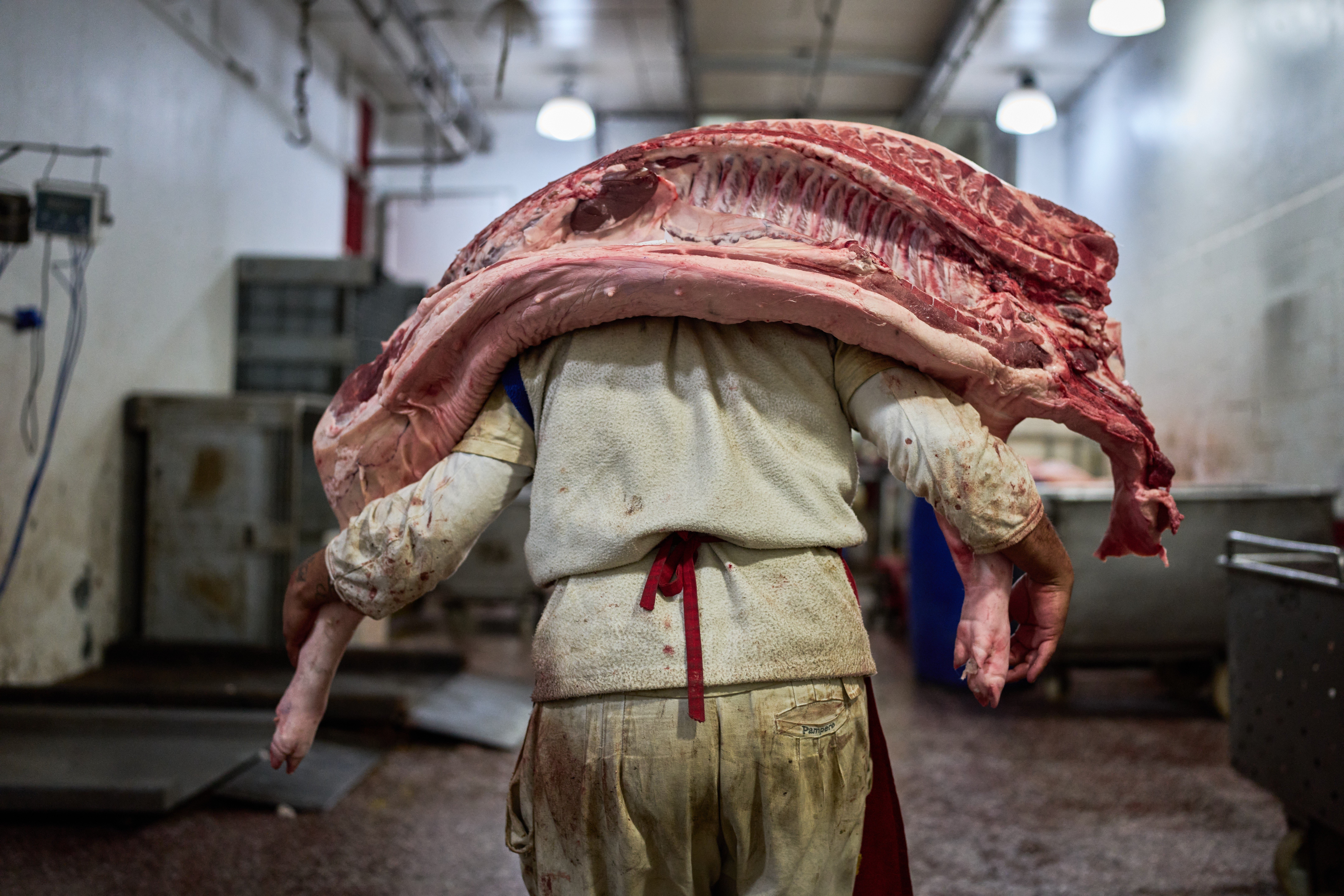 ARGENTINA-CARNE