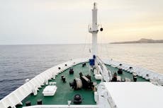 Pese a enfermedades a bordo, la demanda de cruceros se mantiene