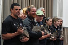 Los kiwis voladores representan el fútbol de Nueva Zelanda en el Mundial