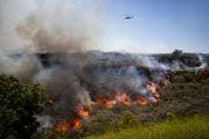 Miles de personas reciben orden de evacuación por incendio en el sur de California