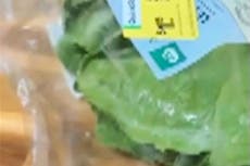 Un cliente en Australia se encontró una rana viva en su bolsa de ensalada