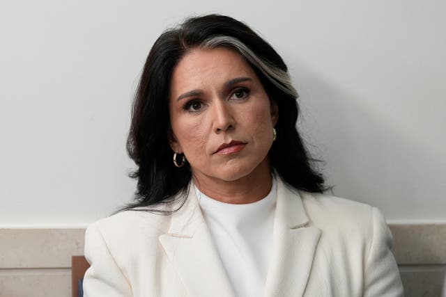 TRUMP-GABBARD