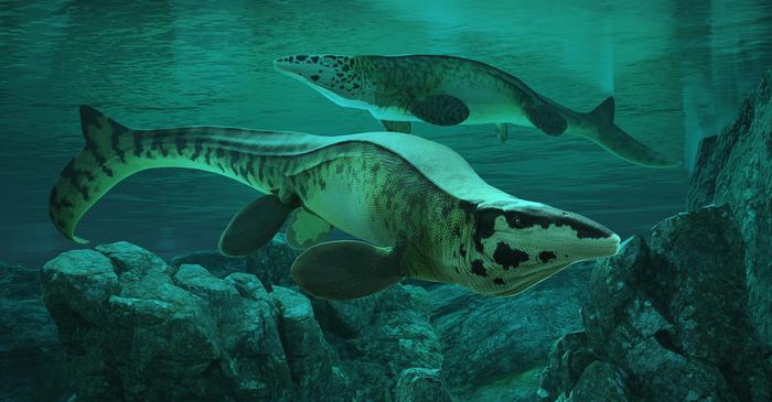 Reconstrucción de ‘Tylosaurus rex’